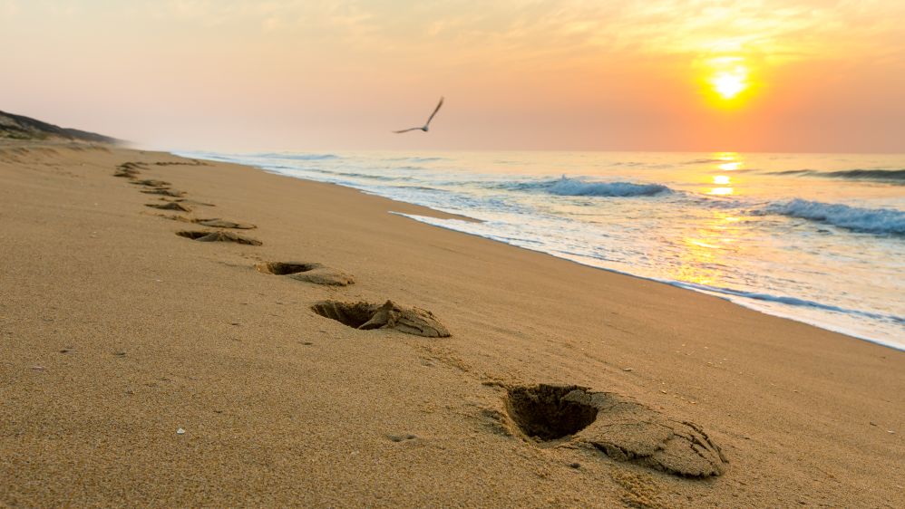 Footstpes On 90 Mile Beach 7